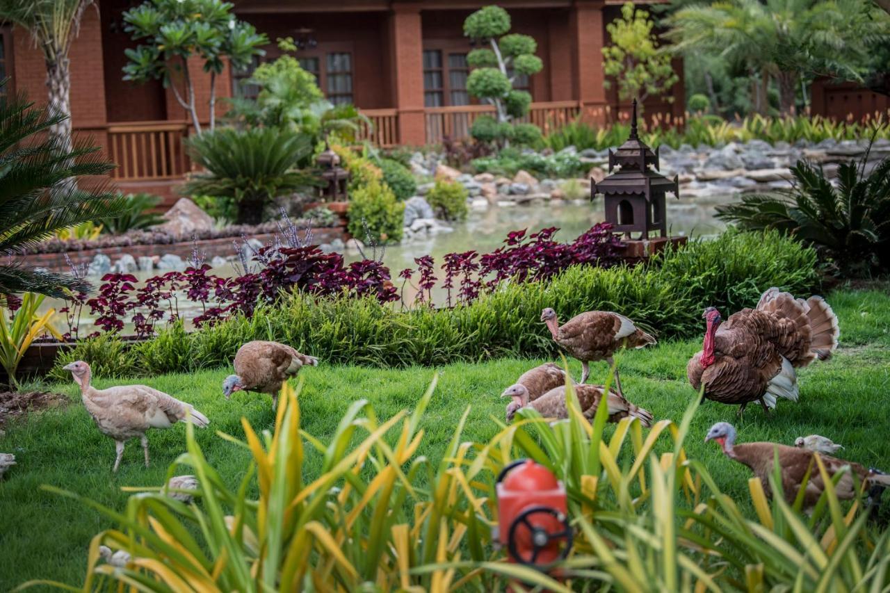 Heritage Bagan Hotel Dış mekan fotoğraf